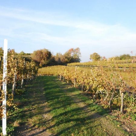 Hildastrasse 1 Appart.2 Friesenheim  Εξωτερικό φωτογραφία